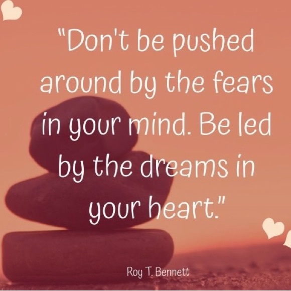 Meet your Posher, Rosa - Picture 5 of 8